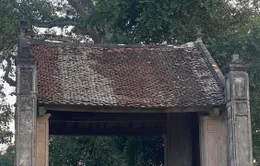 Trải nghiệm làm nông dân ở Đường Lâm ngày càng thu hút du khách