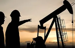OPEC+ tiếp tục giữ nguyên chính sách sản lượng