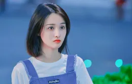 Trịnh Sảng khốn đốn vì phá sản