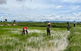 Bắt lãnh đạo Phòng Tài nguyên và Môi trường, Văn phòng đăng ký đất đai ở Thái Bình