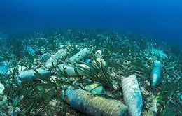 Báo động 11 triệu tấn rác thải nhựa đang nằm sâu dưới đáy đại dương