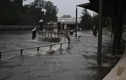 Mưa lớn gây lũ lụt nghiêm trọng tại Sydney, Australia