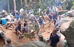 Ngăn chặn người dân đổ xô vào rừng tìm trầm