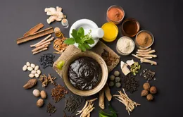 Những dược liệu nổi tiếng của Ấn Độ và phương pháp chữa bệnh Ayurveda