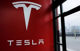 Nơi sản xuất tiềm năng cho Tesla ở châu Á