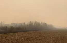 Cảnh báo về chất lượng không khí từ khói cháy rừng ở Canada