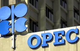 OPEC lạc quan về triển vọng kinh tế thế giới