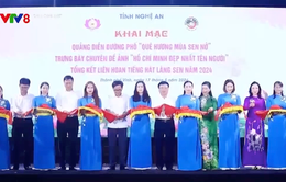 Khai mạc Quảng diễn lễ hội đường phố "Quê hương mùa Sen nở"