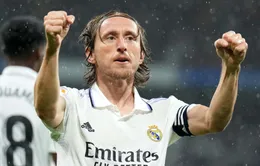 Brighton chia tay HLV De Zebri, Real Madrid gia hạn với Modric