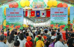 Khám phá Lễ hội trái cây Nam Bộ lần thứ 20