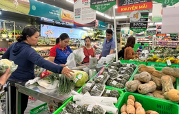 TP. Hồ Chí Minh kích cầu tiêu dùng nội địa cao điểm hè