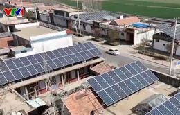 Nhiều hộ gia đình Trung Quốc kiếm "bộn tiền" nhờ bán điện mặt trời