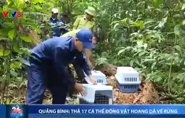 Quảng Bình thả 17 cá thể động vật hoang dã về rừng