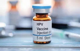 Vaccine HPV: “Lá chắn” ngăn ngừa ung thư cho cả nam và nữ