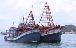 Cảnh sát biển bắt giữ 2 tàu cá vận chuyển 30.000 lít dầu DO lậu trên biển