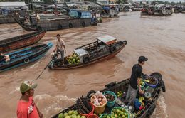 Có gì ở chuyên đề Đo lường trong đời sống người dân đồng bằng sông Cửu Long?