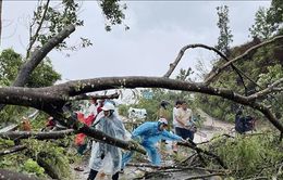 Mưa lớn kèm lốc xoáy, lở đá làm 1 học sinh tại Bình Phước bị thương