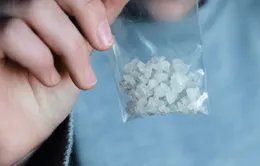 Đông Á và Đông Nam Á thu giữ lượng ma túy đá kỷ lục