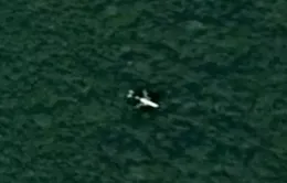 Campuchia bác thông tin xác máy bay MH370 nằm trong rừng sâu
