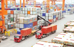 Xuất nhập khẩu phục hồi bền vững