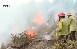 Tăng cường Phòng chống cháy rừng tại các khu du lịch Phong Nha Kẻ Bàng