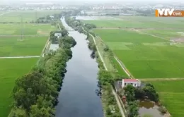 Nước kênh ở xã Đại An chuyển màu đen, hôi thối, kéo dài nhiều km