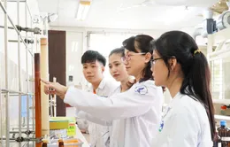 Đại học Quốc gia TP Hồ Chí Minh "trải thảm đỏ" thu hút nhân tài