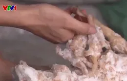 Lạng Sơn ngăn chặn gần 11 tấn chân gà đông lạnh, mốc đưa ra thị trường