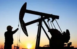 Giá dầu thế giới "chùn bước" trước triển vọng ở Trung Đông