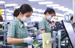 TP. Hồ Chí Minh tạo cơ chế thu hút FDI
