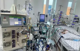 Can thiệp ECMO cứu sống bé gái tim bẩm sinh phức tạp