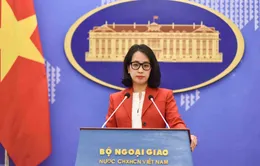 Bộ Ngoại giao hoan nghênh Hoa Kỳ điều trần về nâng cấp quy chế kinh tế thị trường cho Việt Nam