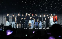 Seventeen và TWICE dẫn đầu doanh thu tour diễn K-Pop nửa đầu năm 2024