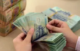 TP Hồ Chí Minh công bố danh sách doanh nghiệp nợ thuế hơn 4.600 tỷ đồng