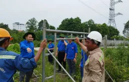 Hơn 4.000 thanh niên tình nguyện hỗ trợ dự án đường dây 500kV mạch 3