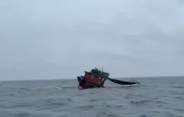 Kịp thời cứu ba ngư dân gặp nạn biển