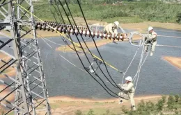 Thanh niên tình nguyện hỗ trợ dự án đường dây 500kV mạch 3