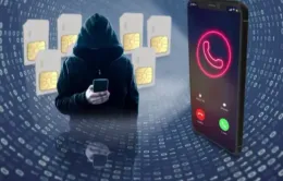 Nghe cuộc gọi yêu cầu đồng bộ hoá giấy tờ hộ khẩu, người phụ nữ bị lừa mất 2,5 tỷ đồng