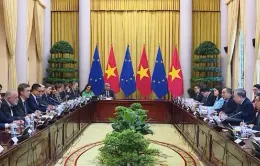 Chủ tịch nước Tô Lâm tiếp Đại sứ các nước châu Âu