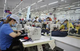 Doanh nghiệp Việt tăng cơ hội tham gia sâu chuỗi cung ứng toàn cầu