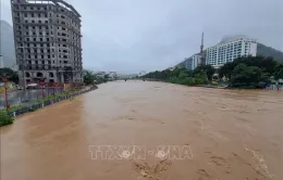 Hà Giang: Trên 1.000 cán bộ, chiến sĩ giúp dân khắc phục hậu quả mưa lũ