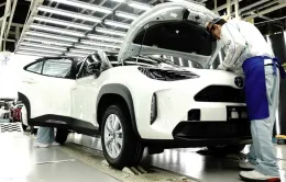 Nhiều nhà sản xuất ô tô Nhật Bản dính bê bối gian lận