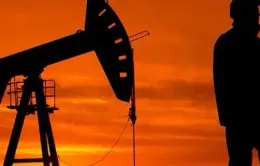 Giá dầu thế giới tăng cao nhất trong một tuần