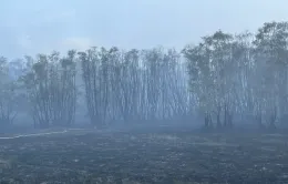 Đã dập tắt được đám cháy ở Vườn quốc gia Tràm Chim Đồng Tháp