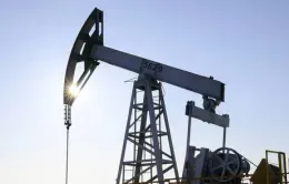 Dự báo nhu cầu dầu toàn cầu tăng mạnh
