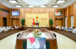 Cần thận trọng về vấn đề thí điểm thành lập Khu thương mại tự do Đà Nẵng