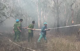 Xuyên đêm ứng trực ngăn cháy rừng tại Vườn quốc gia Tràm Chim