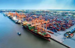 Giá vận chuyển hàng hóa container tăng mạnh, Cục Hàng hải vào cuộc