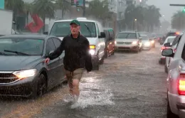 Mưa lớn gây lũ lụt nghiêm trọng, chính quyền bang Florida ban bố tình trạng khẩn cấp