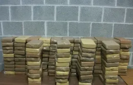 Europol triệt phá đường dây buôn ma túy lớn, thu 8 tấn cocaine